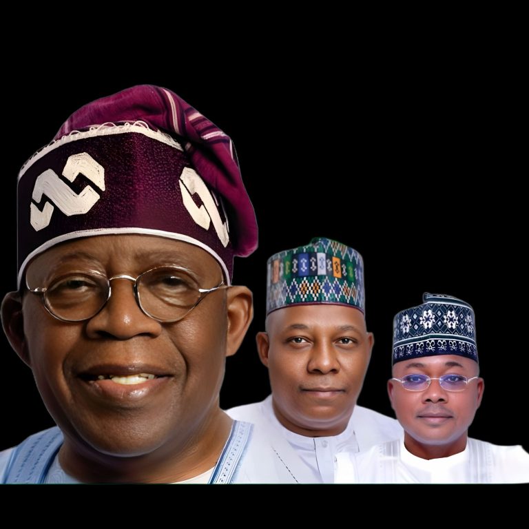 IMG-20240612-WA0005-bgremoved-upscaled-by-Lens